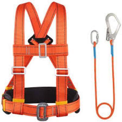 Fall Arrest Kit: Safety Harness